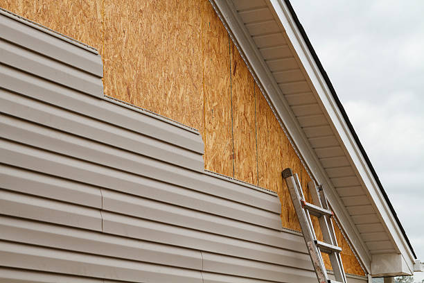 Professional Siding Inspection technician working in Bristol, VA